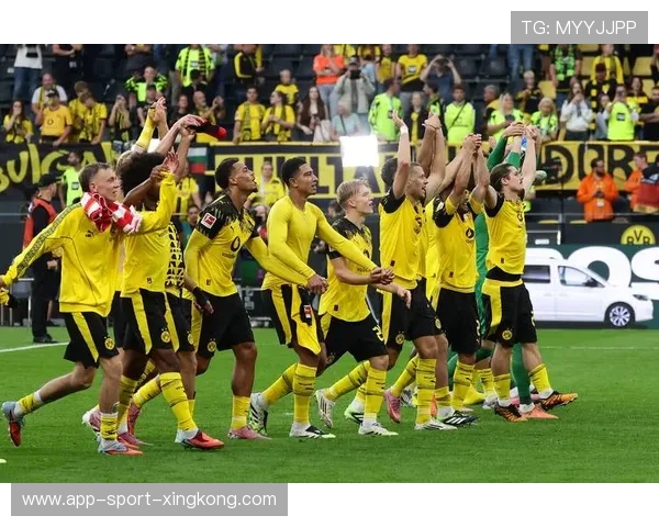 多特蒙德大动作!签下一名具备二次爆发力的中锋,开启新赛季锋线新篇章 多特蒙德大动作!签下一名具备二次爆发力的中锋,开启新赛季锋线新篇章