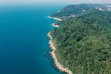 AC米兰-小胜都灵，继续领跑积分榜，ac米兰成绩